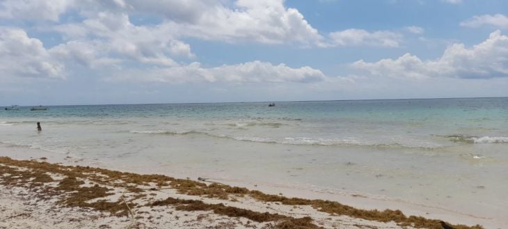 La Jornada Maya | Quintana Roo | Miguel Améndola | Frente frío se llevó el  sargazo de las playas de Quintana Roo