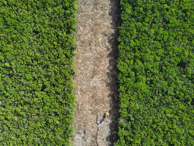Niegan amparo a nueve habitantes de QRoo contra tramo 5 del Tren Maya