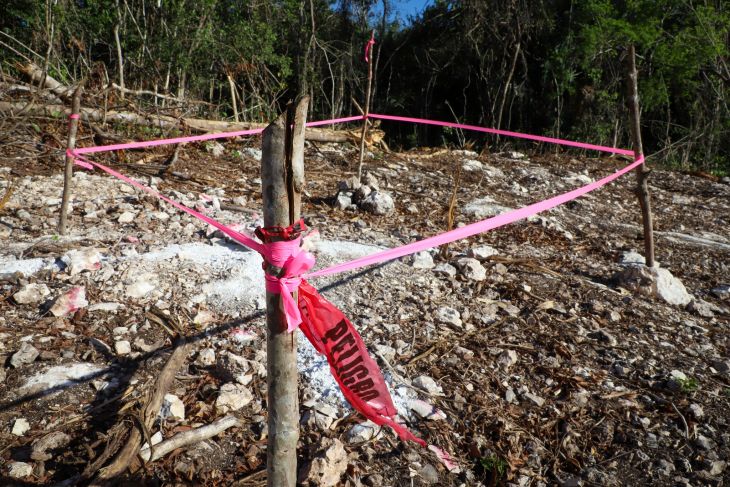 Posponen audiencia sobre suspensión del Tren Maya en QRoo