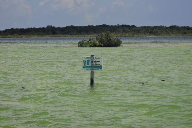 Descarta AMLO afectación del Tren Maya en la laguna de Bacalar