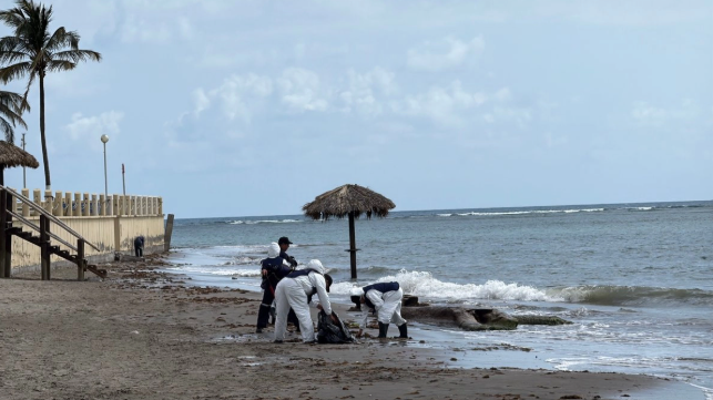 Ambientalistas exigen a Pemex transparentar información sobre derrame en el Golfo de México