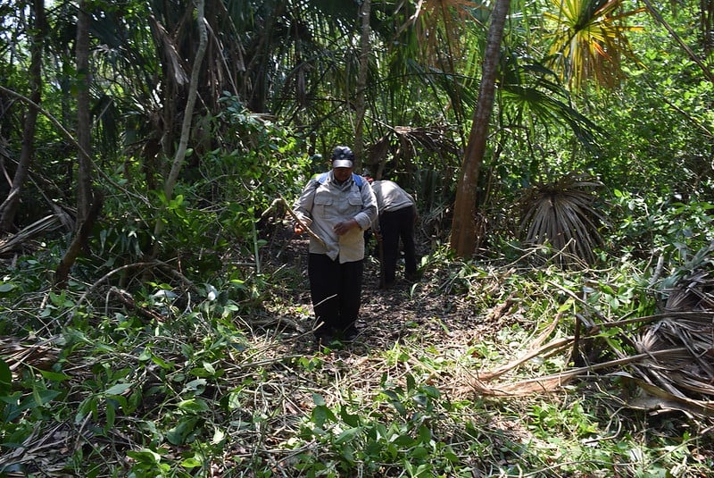 Tras un cuarto de siglo