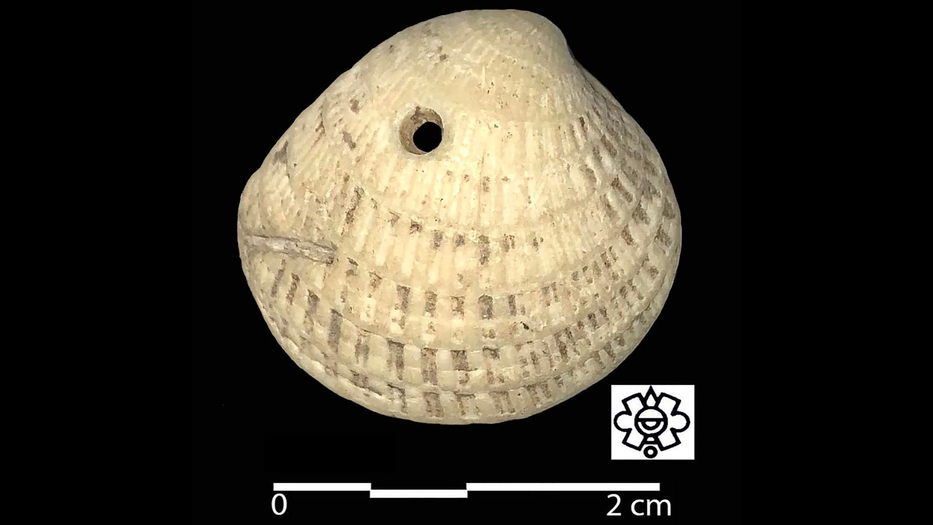 El arte de la concha y los maestros artesanos mayas