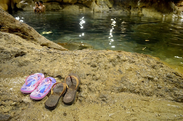 Financiarización de la naturaleza, Tren Maya y ecología política