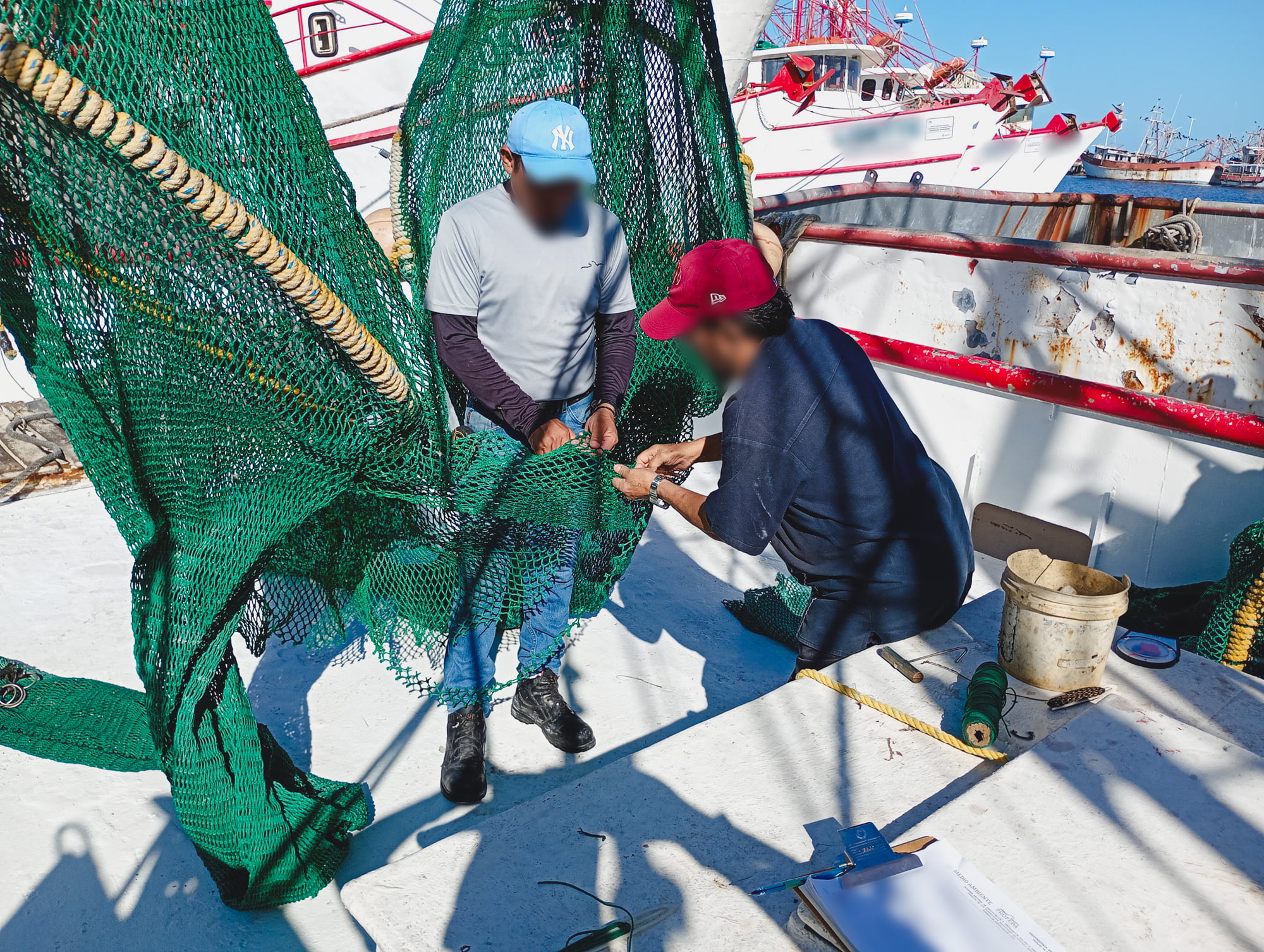 Campeche: Certifica Profepa a 13 camaroneras para proteger a las tortugas marinas