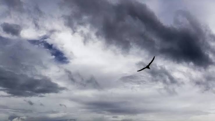 Se avecina la temporada de huracanes en Yucatán y los refugios ya están listos