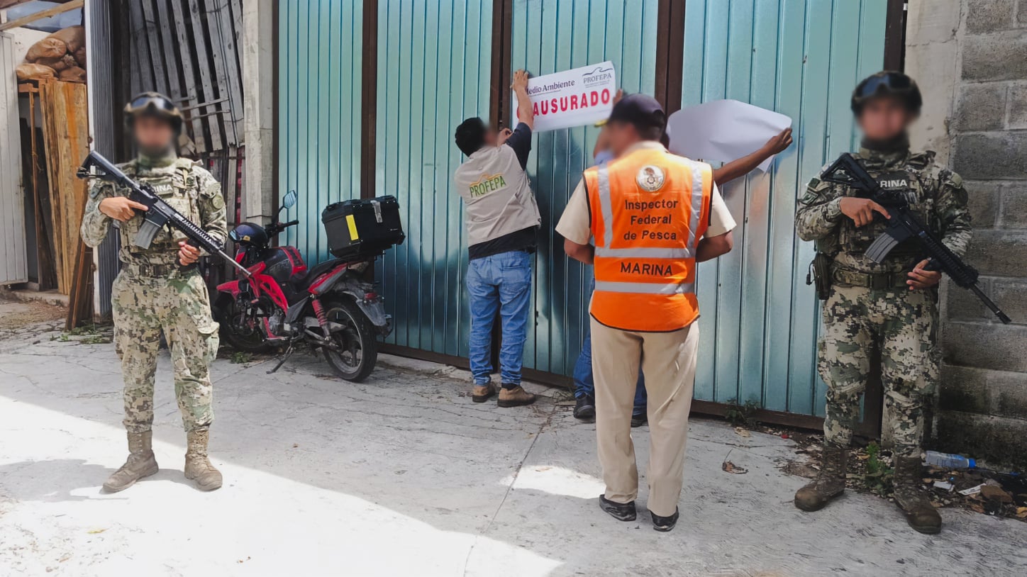 Profepa clausura maderería en Chetumal durante operativo forestal