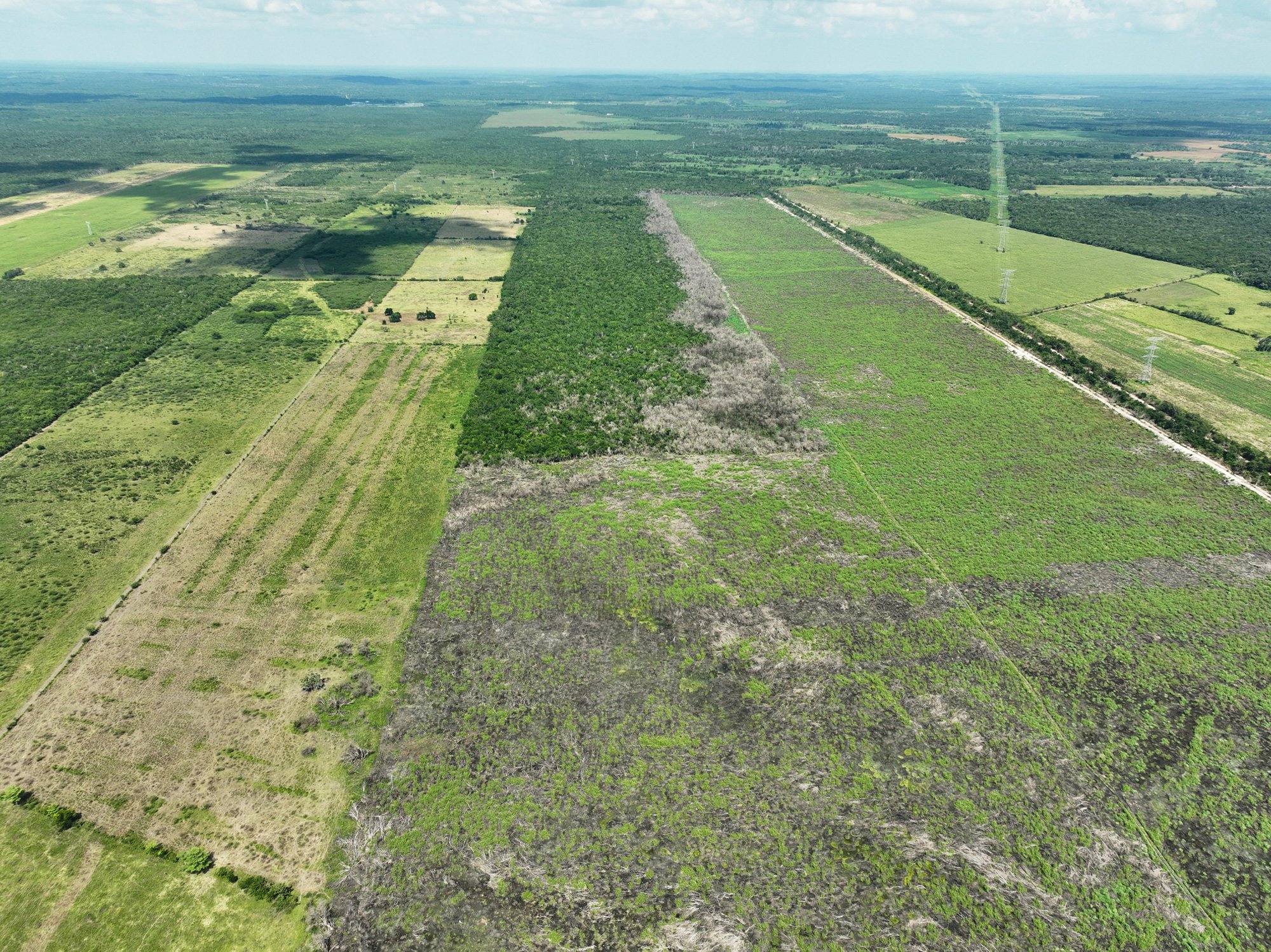 Profepa impone cuatro clausuras en Campeche por obras y cambios de uso de suelo sin autorización ambiental