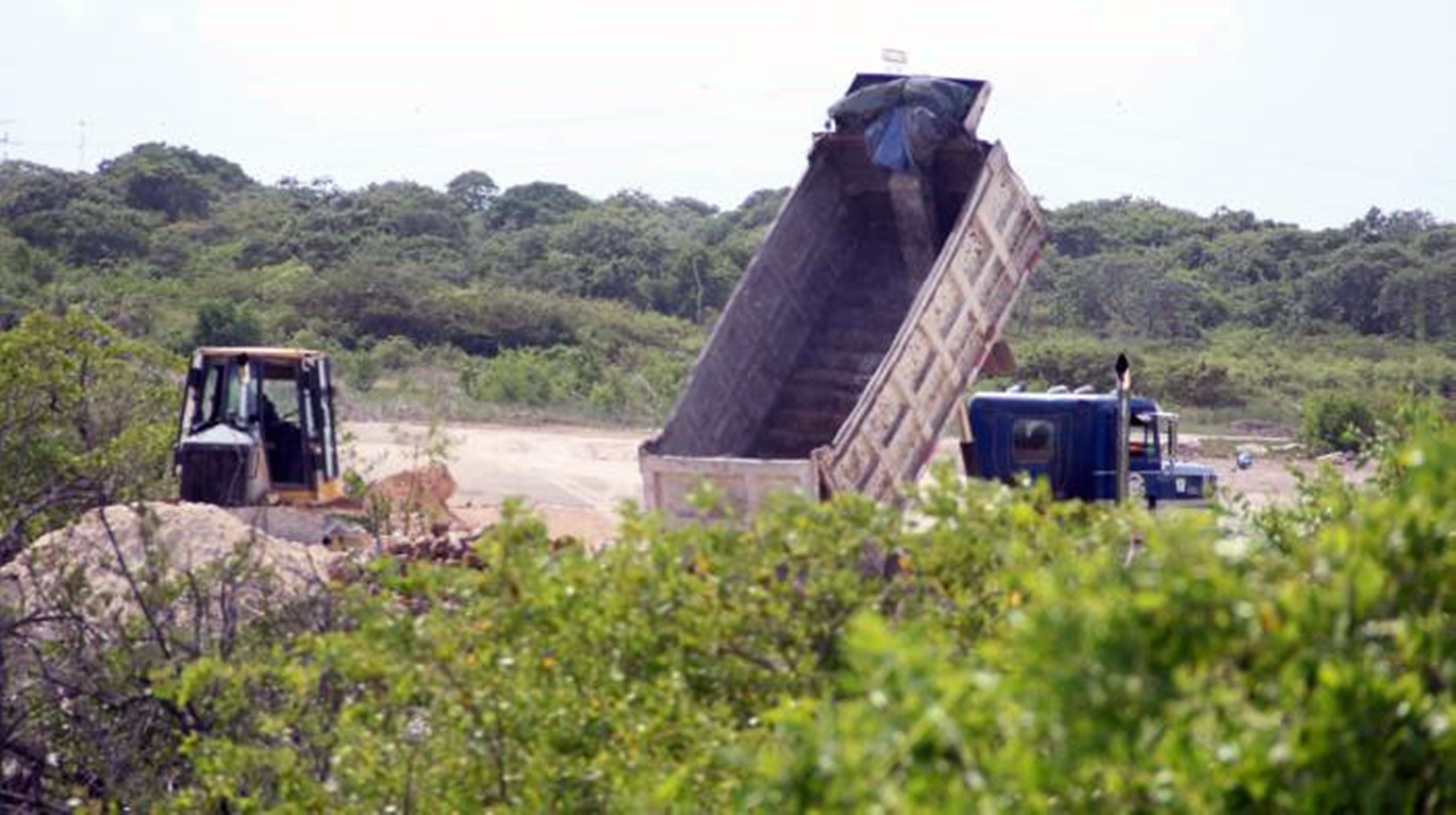 La Jornada Maya | Quintana Roo | La Jornada Maya | Ecocidio en Playa ...