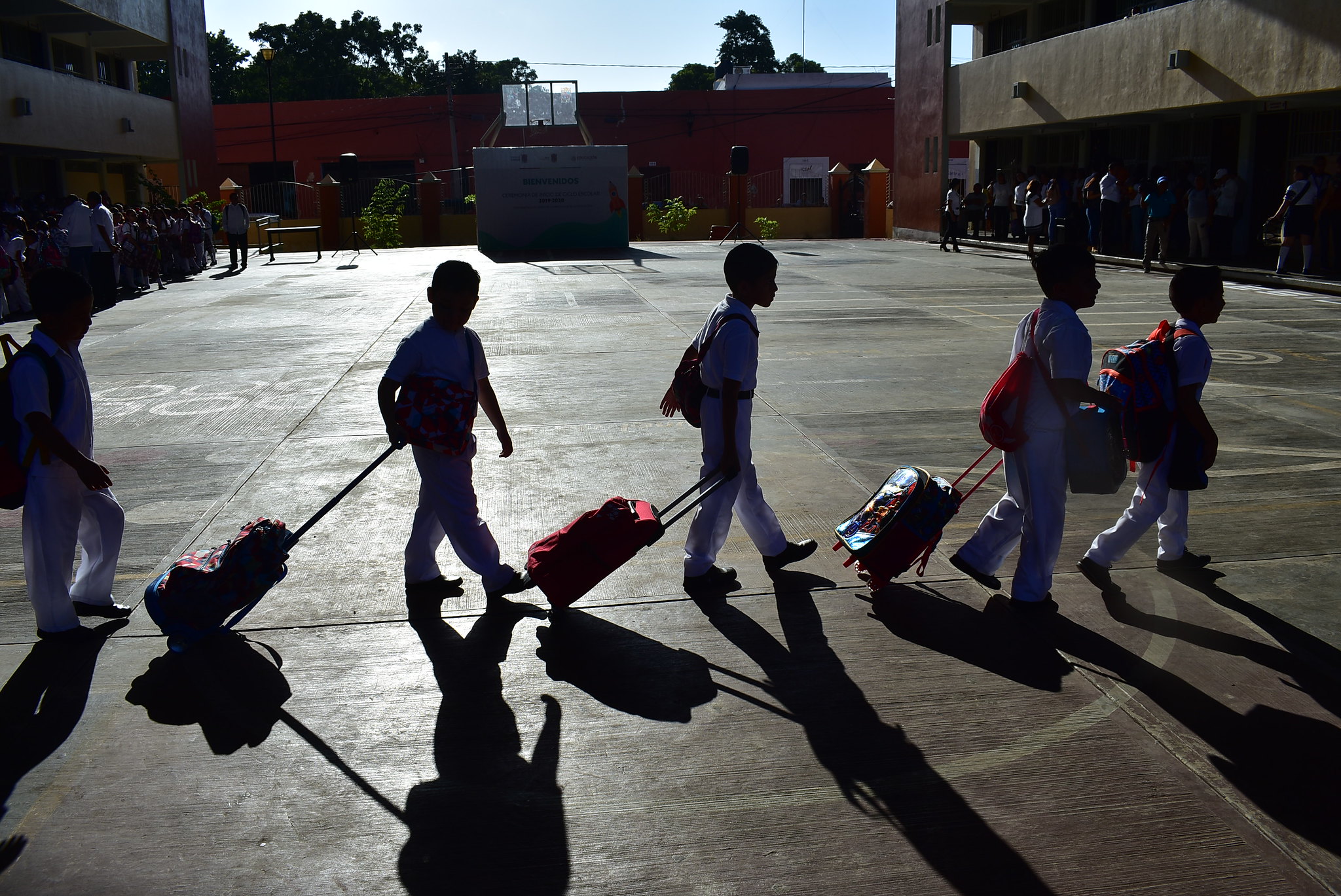 Sin educación no habrá reactivación