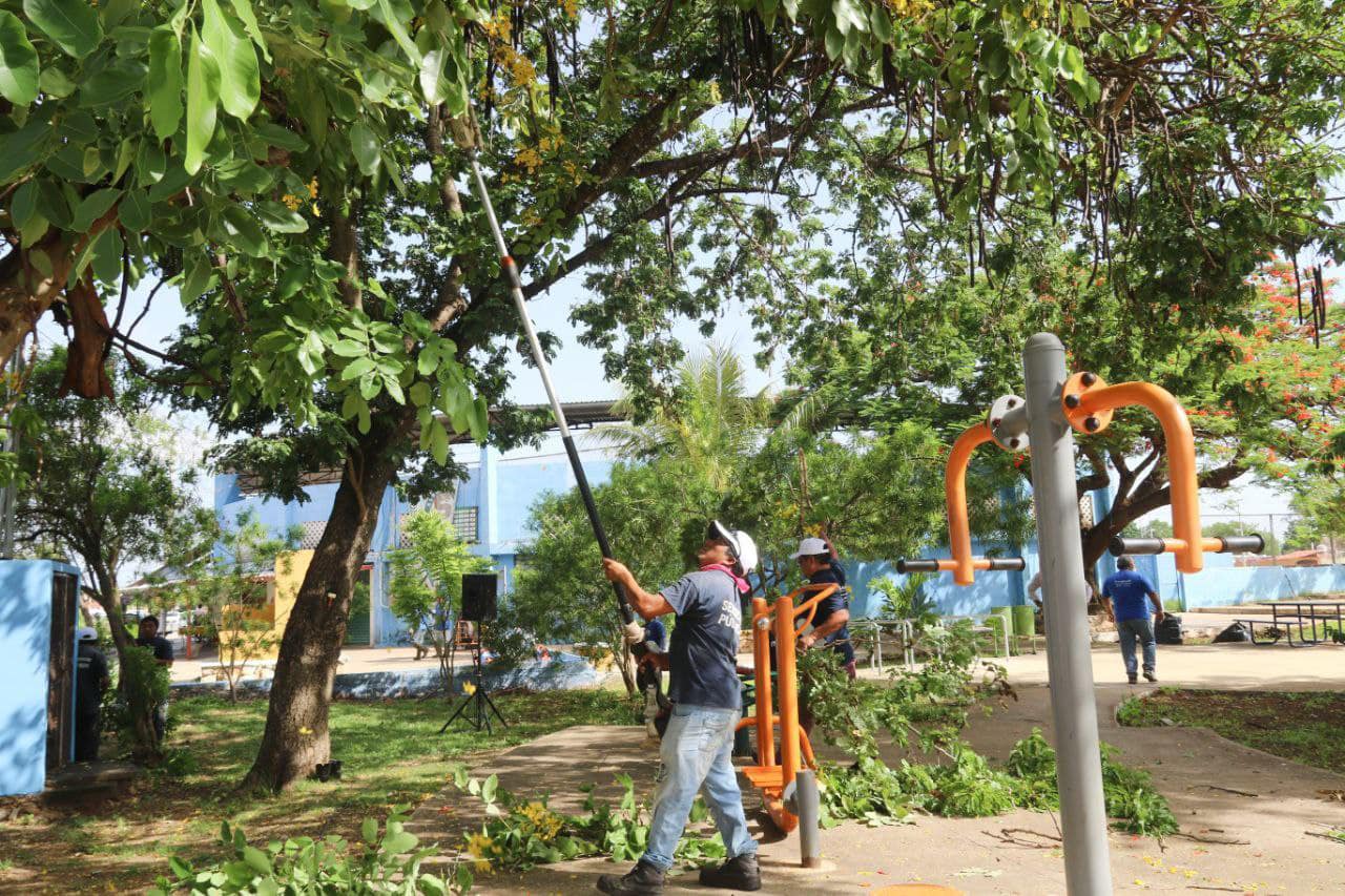 Suspenden eventos y programas en Mérida ante la llegada de 'Beryl'