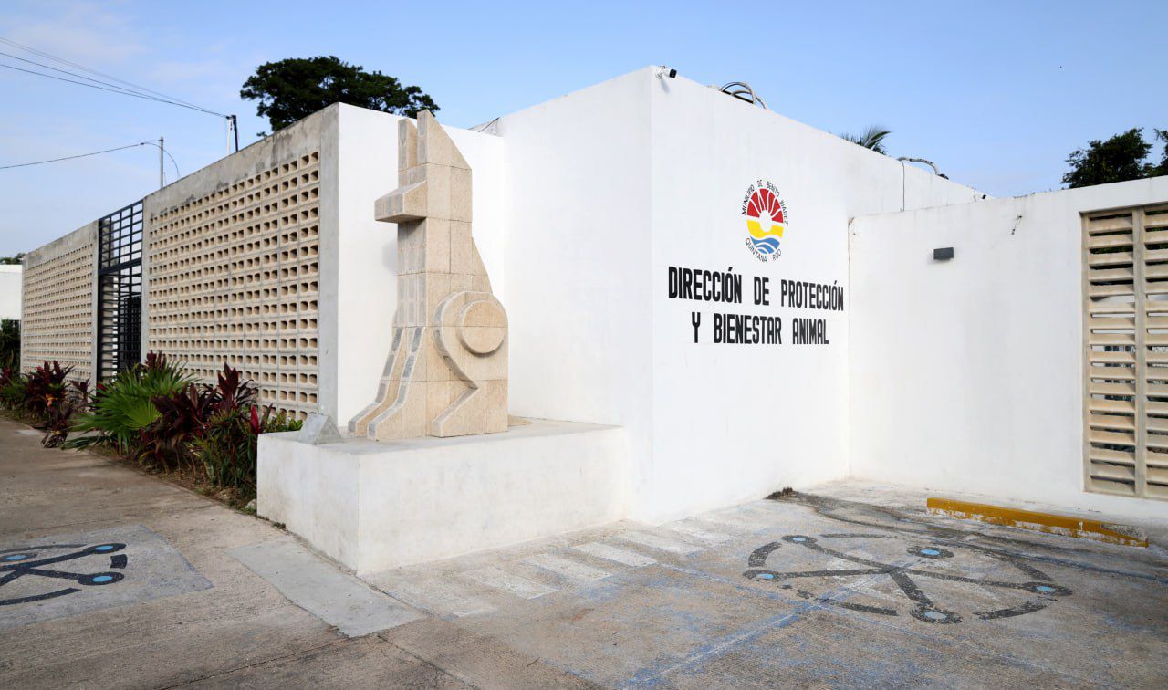 Anuncian restructuración de la Dirección General de Protección y Bienestar Animal de BJ tras emergencia sanitaria