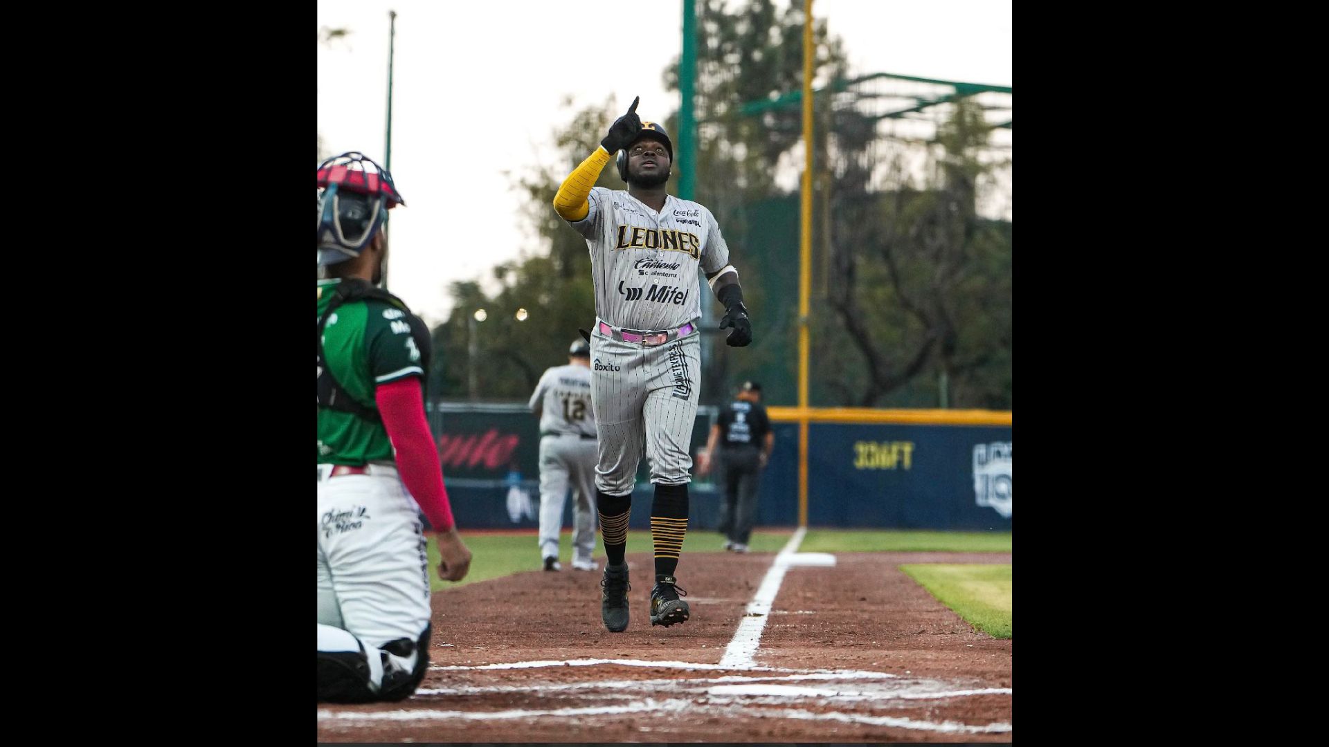 Los Leones de Yucatán, que se enfrentan a Querétaro, buscan resurgir