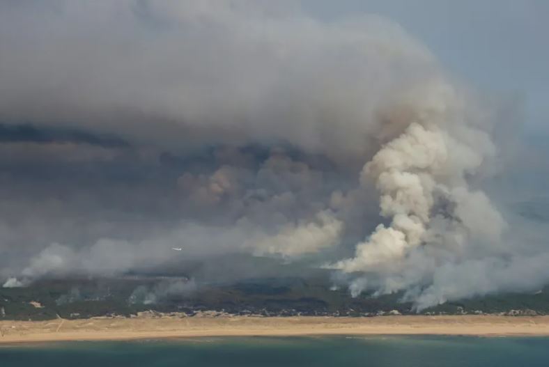 Incendios asechan Burdeos y desalojan a 325  mil personas en peligro en Francia y España