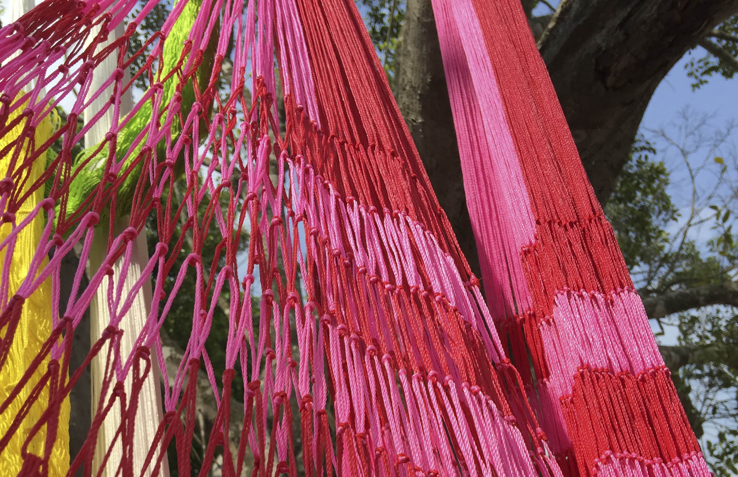 Una niña de 14 años y un hombre de 37