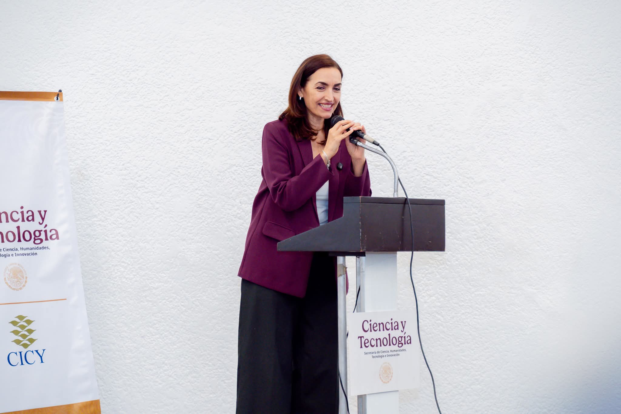 Renuncia Geovanna Campos a la Secihti del gobierno de Yucatán 