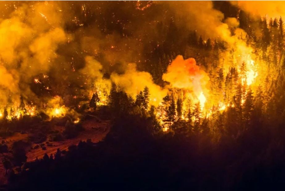 Argentina declara emergencia por incendios que azotan la Patagonia