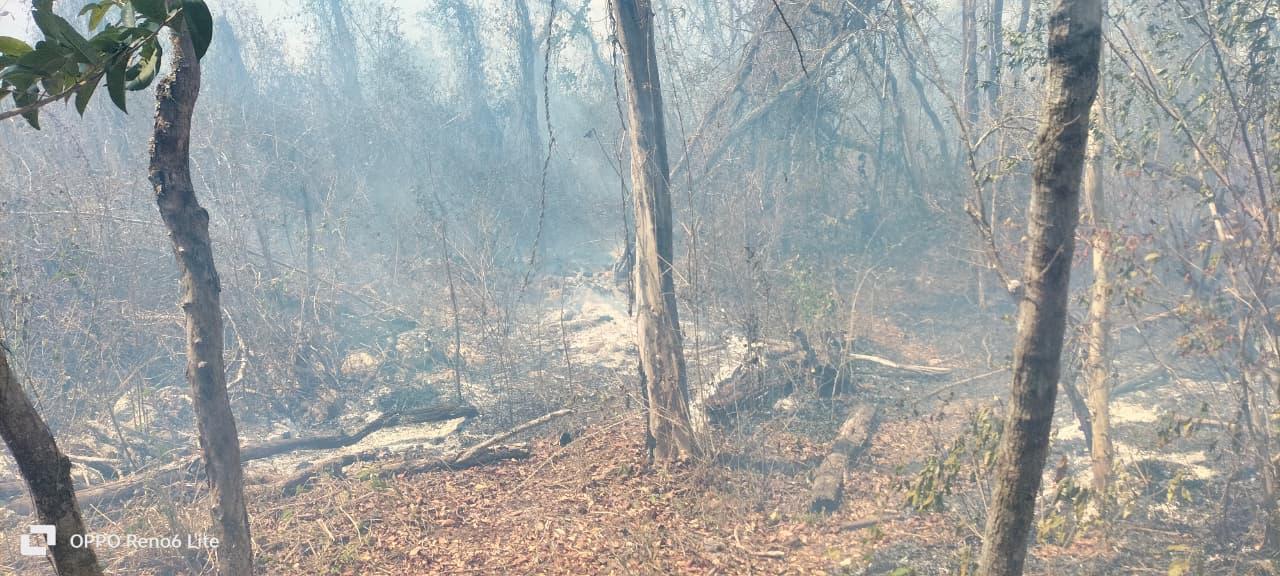 Primer incendio de la temporada en Tulum afecta cinco hectáreas