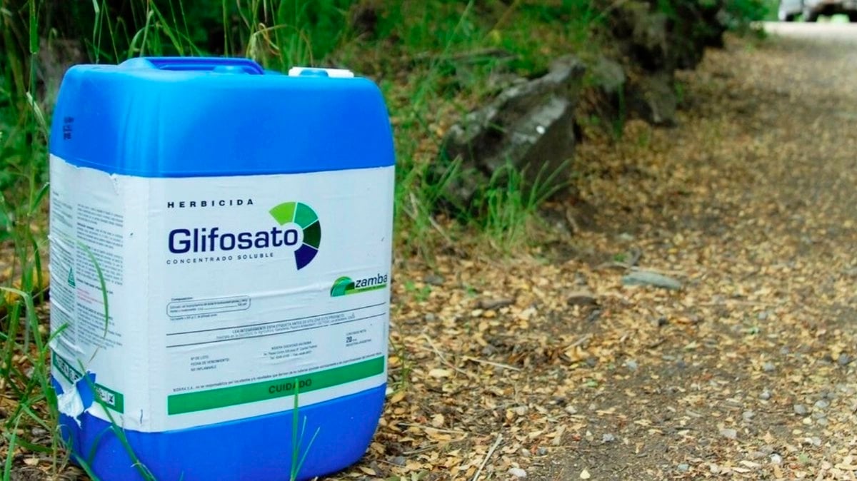 Urgen a que México prohíba el glifosato por riesgos a la salud