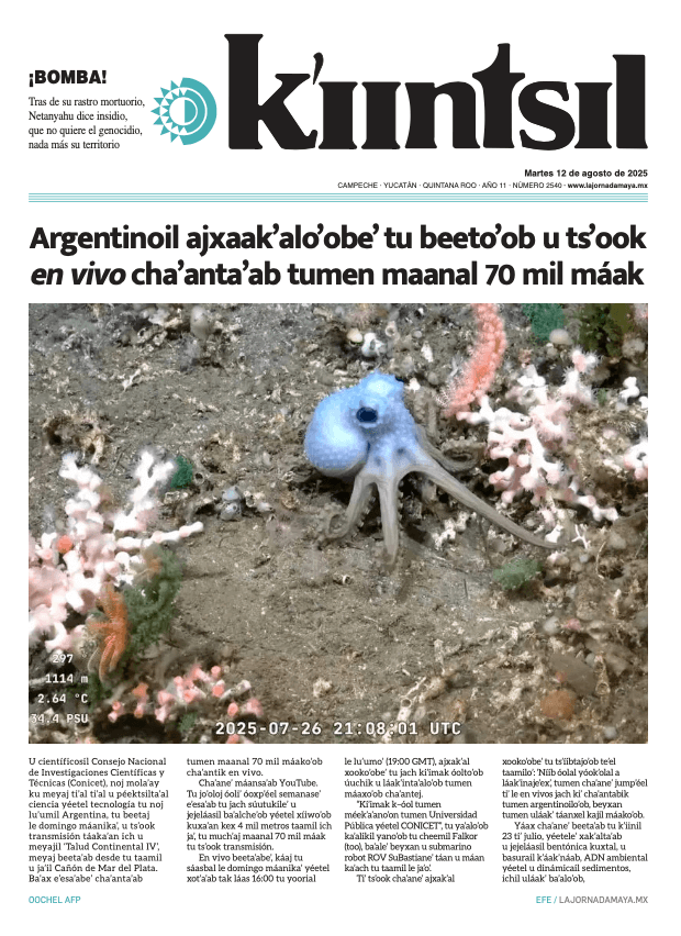 Impreso K'iintsil