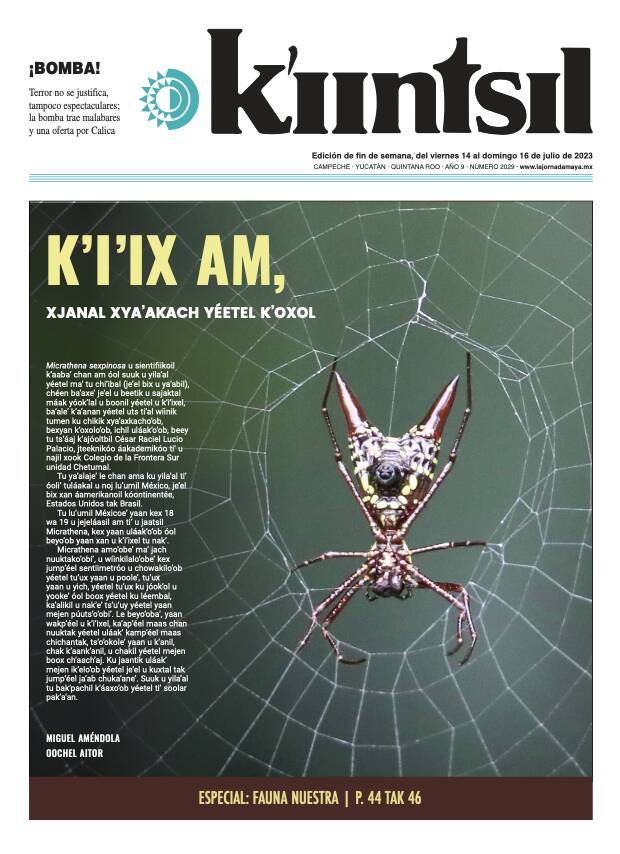 Impreso K'iintsil