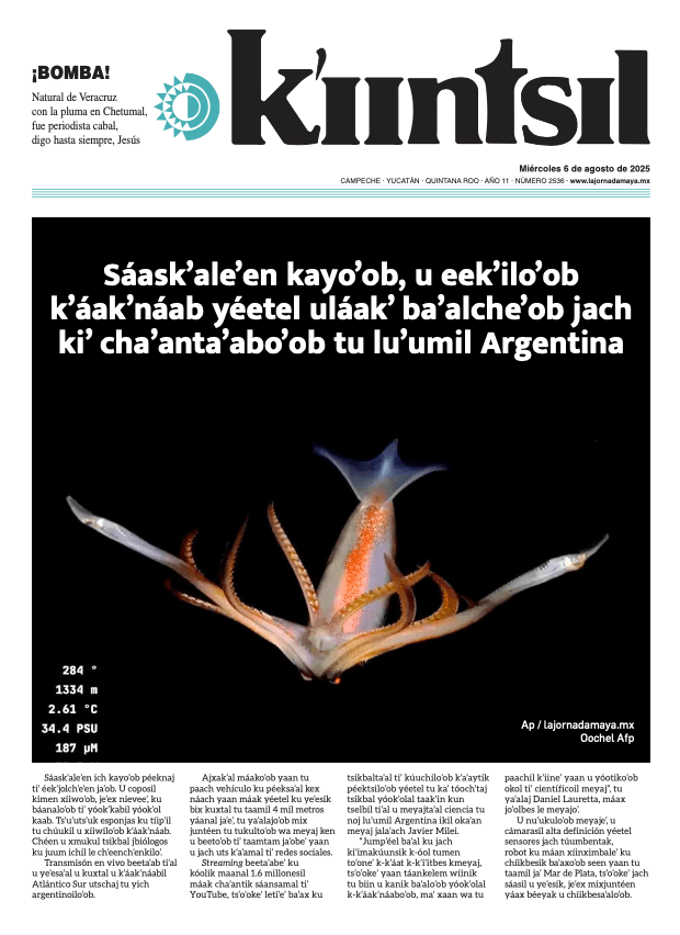 Impreso K'iintsil
