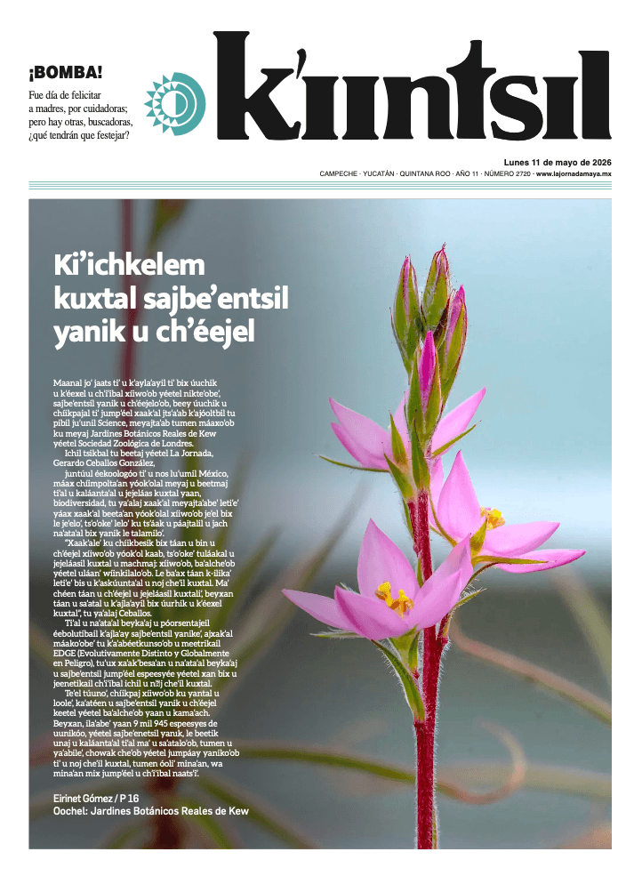 Impreso K'iintsil