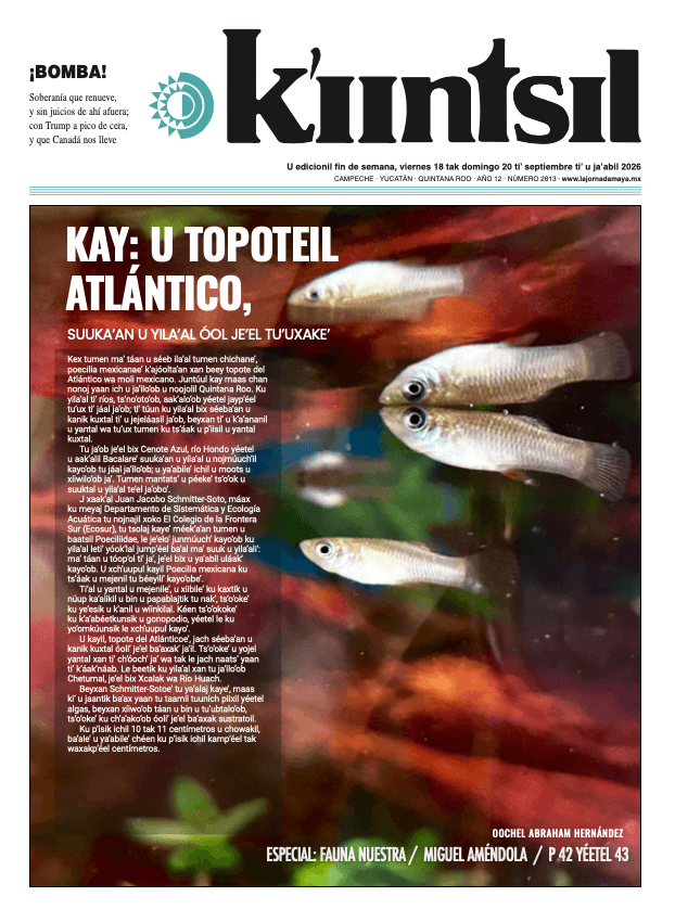 Impreso K'iintsil