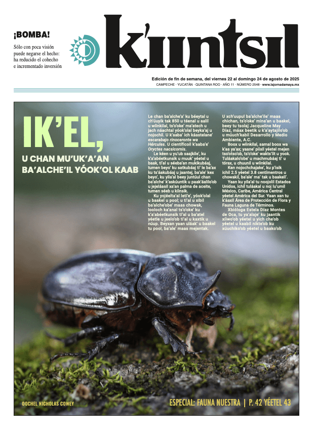 Impreso K'iintsil
