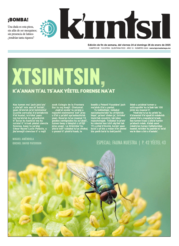 Impreso K'iintsil