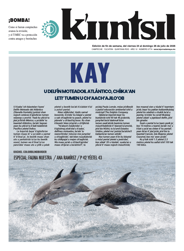 Impreso K'iintsil