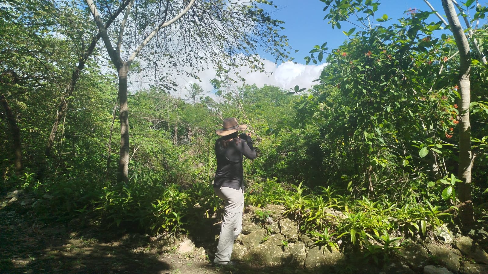 Quintanarroenses se suman a la pajareada mundial