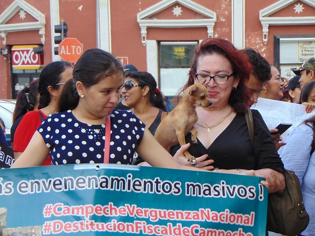 Caninos encabezan marcha contra el maltrato animal en Mérida