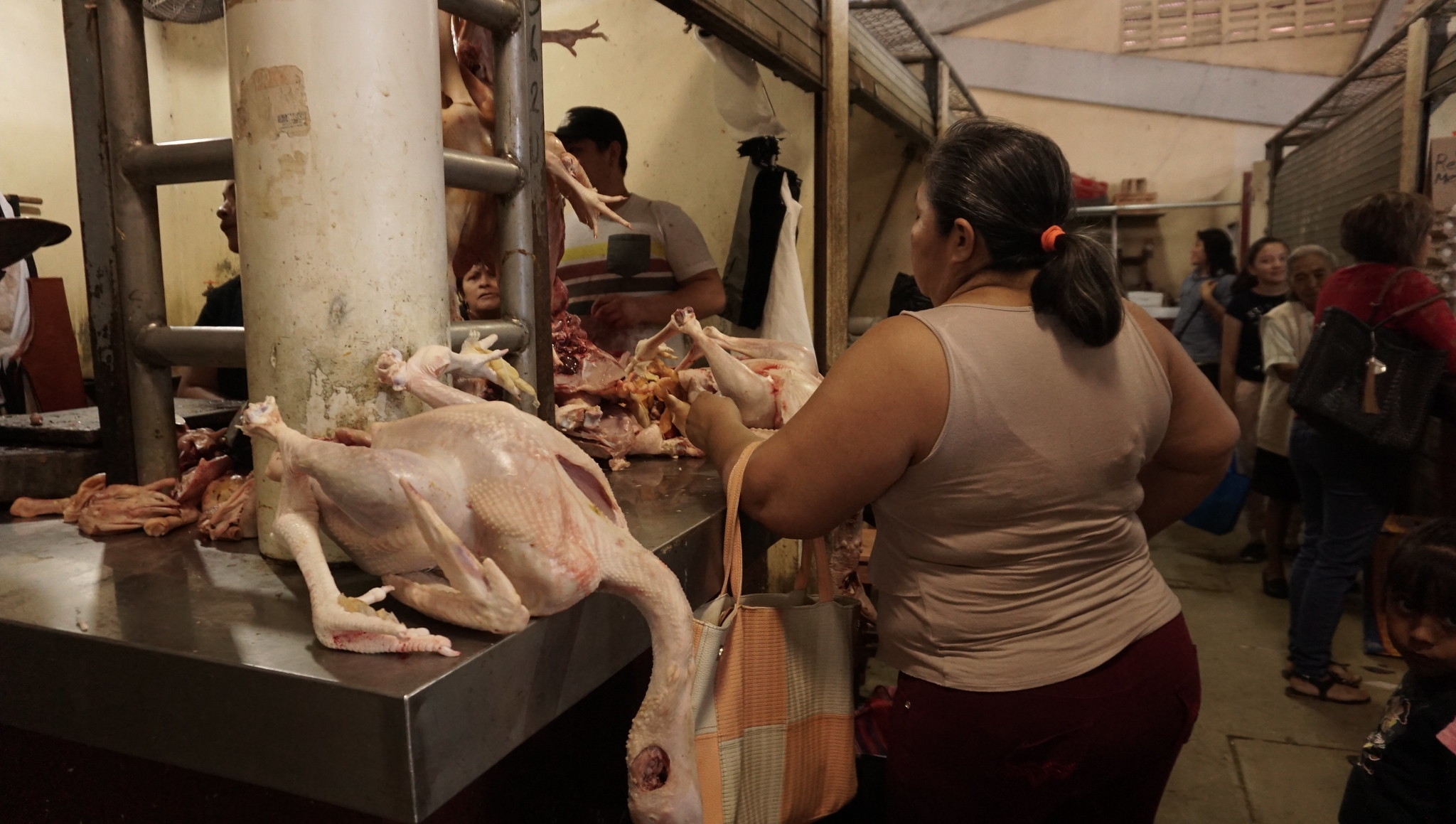 Aseguran abasto de productos avícolas durante la contingencia