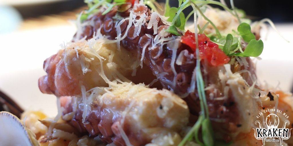 Kraken, sabores de la costa para la ciudad
