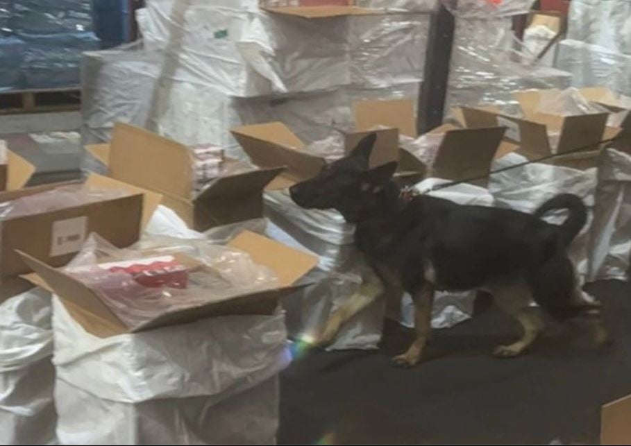 Decomisa la Marina 88 toneladas de cigarros de contrabando en el AICM