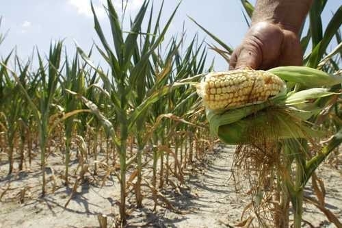 La ruta del sureste, nuevo vuelo entre Mérida, Tabasco y Oaxaca