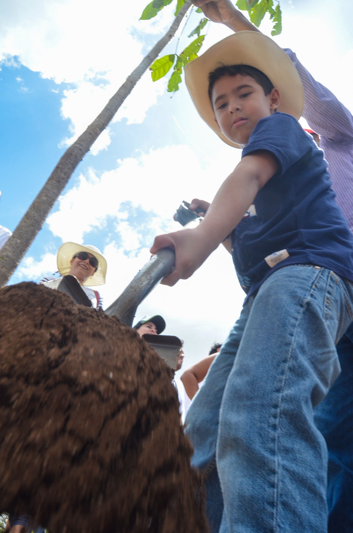 Sembrarían soya transgénica