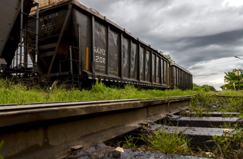 Tren Maya reactivará economía y turismo tras COVID-19: Aarón Rosado