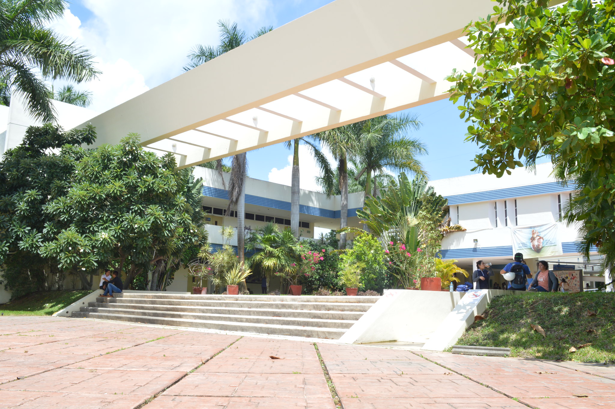 La UADY no regresará a clases presenciales hasta que el semáforo esté en verde