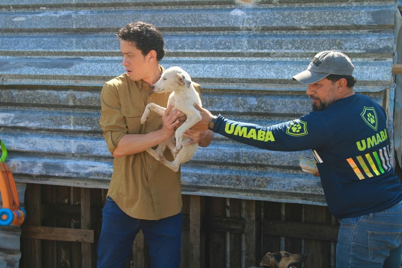 UPA de Mérida rescata a más de 40 animales en condiciones críticas en Ciudad Caucel