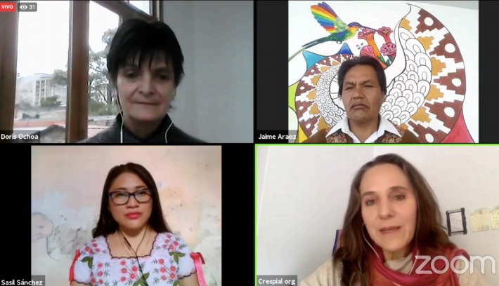 Autoridades ignoran a indígenas en combate a pandemia: Sasil Sánchez