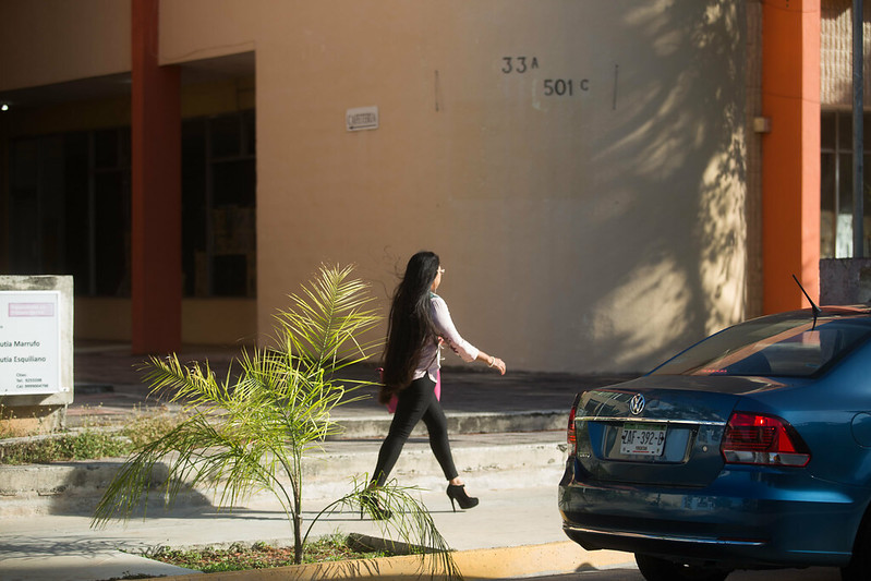 Acoso y hostigamiento sexual. Papel de los comités institucionales