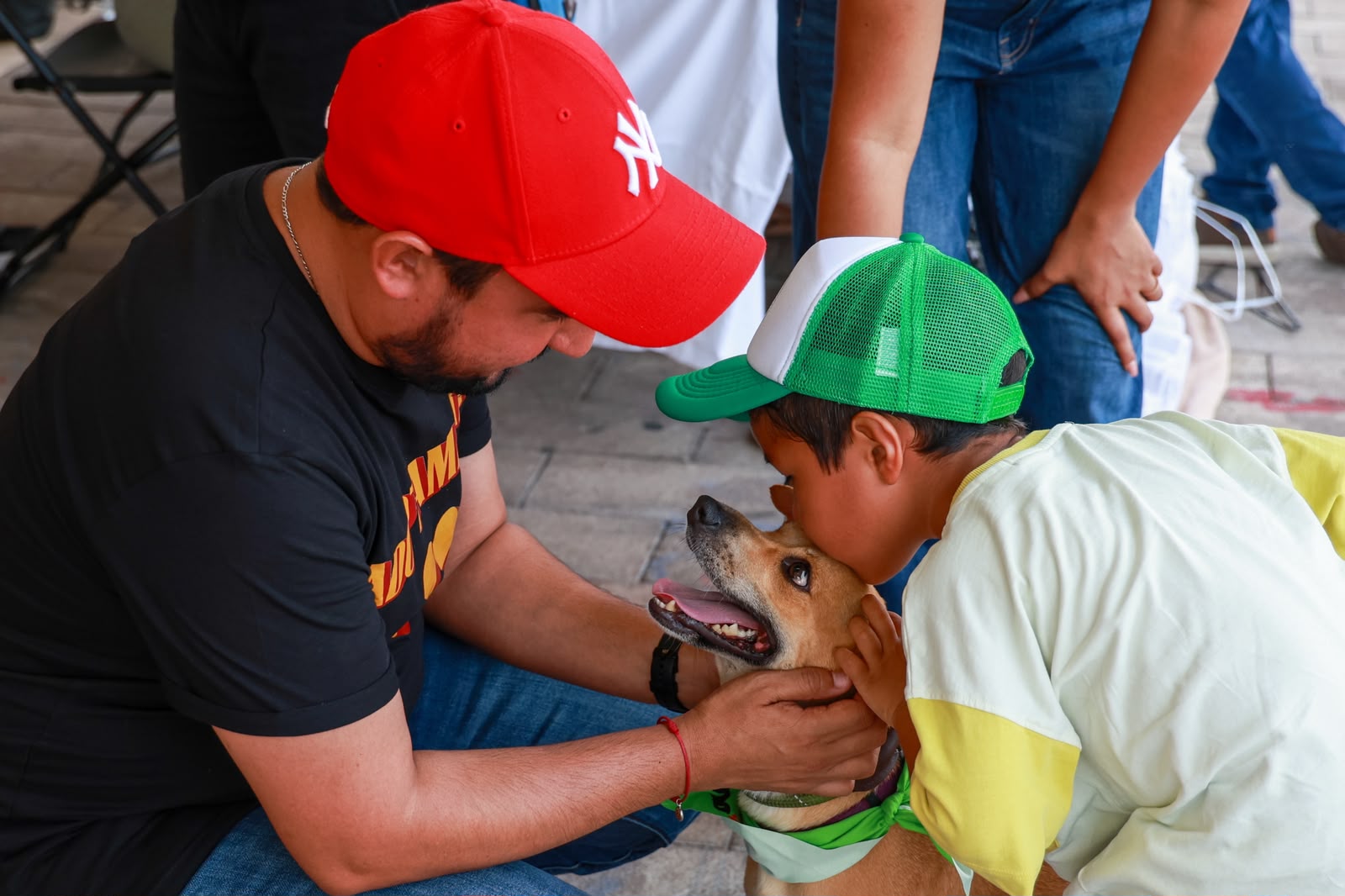 ''Adoptamanía'' ofrece una segunda oportunidad a perros en situación vulnerable en Playa del Carmen 