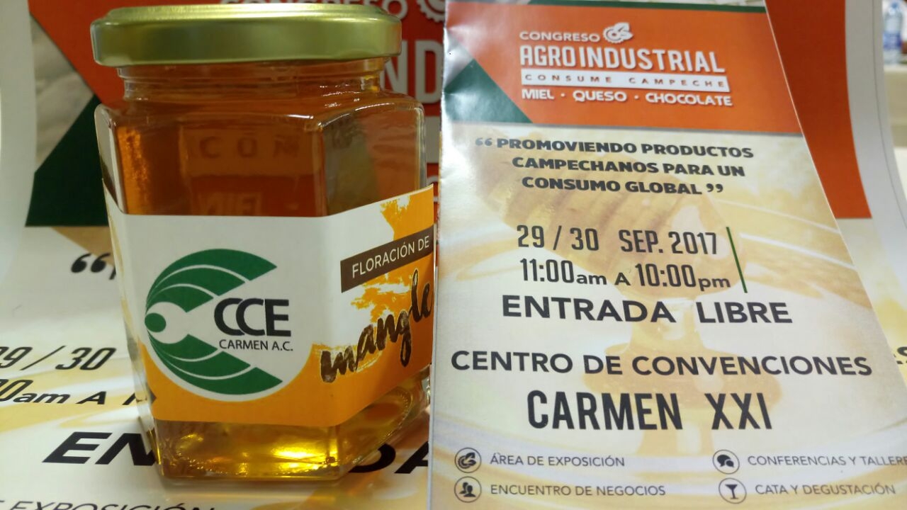 Mayas, por la unión entre naturaleza y cultura