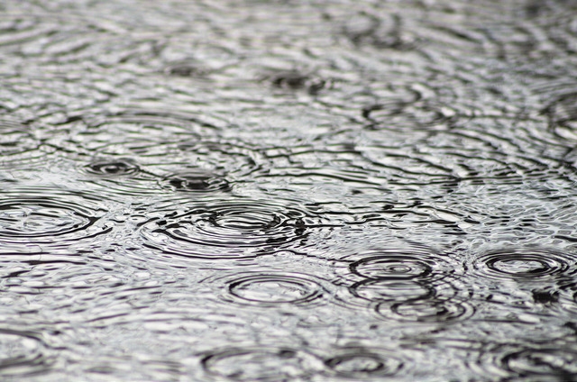 Plaguicidas amenazan mantos freáticos de Yucatán