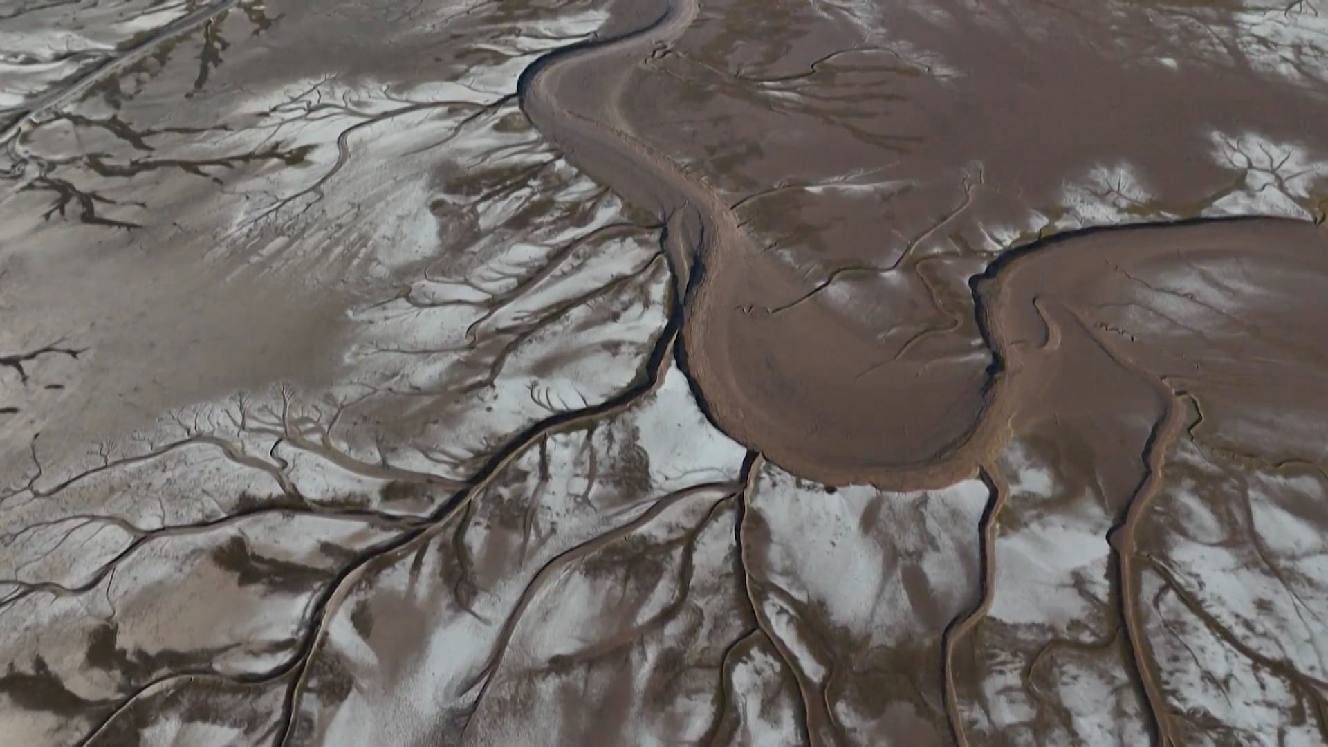 ¡Salinismo vive/ ley de aguas sigue! 