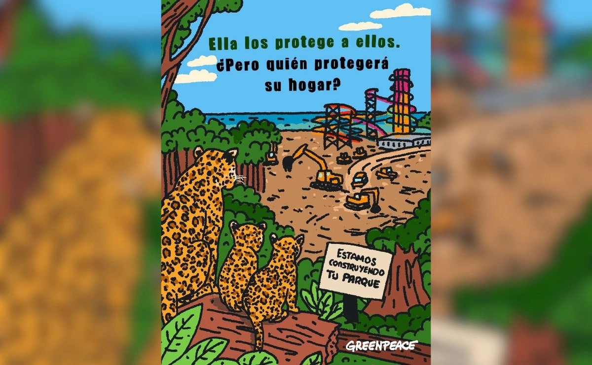 Ambientalistas: Semarnat decidirá el futuro de 306 especies que habitan Mahahual, Quintana Roo