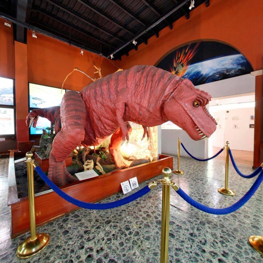 Cumple 33 años, el Museo de Historia Natural de Mérida