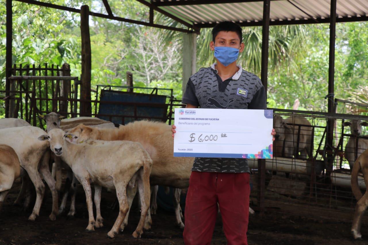Ganaderos de Yucatán reciben apoyos por 2.5 mdp